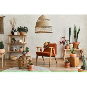 Home and Decor