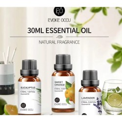 Aromatherapy Essential Oils Aromatherapy Essential Oils