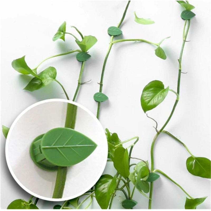 Invisible Plant Wall Clips – 10pcs 2 of 5
