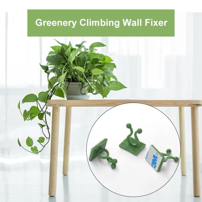 Invisible Plant Wall Clips – 10pcs 4 of 5